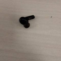 Oortje Kunstof, zoals gemeld door LUMC met iLost