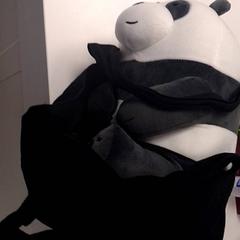 Tas Zwart, zoals gemeld door TivoliVredenburg met iLost