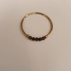 Anel Goudkleurig, segundo informou HvA Amstelcampus usando iLost