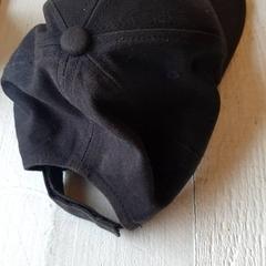 Pet Zwart, zoals gemeld door DierenPark Amersfoort met iLost