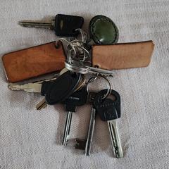 Sleutel bos, segons s'ha informat a iLost