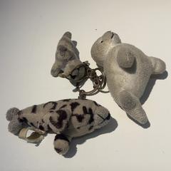 Brelok Zeehondjes, zgłoszono przez IKEA Groningen przy użyciu iLost