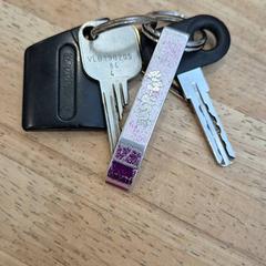 Nøkkelring, som rapportert av Gemeente Wageningen ved bruk av iLost