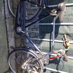 Herenfiets Gazelle Blauw, zoals gemeld door Stadswerk072 met iLost