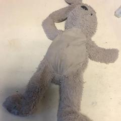 Knuffel, as reported by Artis using iLost