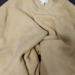 Xersei, segundo informou Vrije Universiteit Brussel (VUB) usando iLost