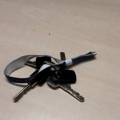 İLost kullanarak Arriva Oost-Brabant tarafından bildirildiği gibi Kayış