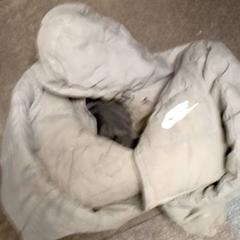 Grijze nike jas, iLost를 사용하여 Mövenpick Hotel Amsterdam City Centre에 보고됨