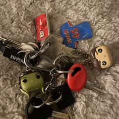 Bos sleutels, som rapporterats till iLost