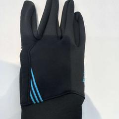 Hanske, som rapportert av Arriva Limburg Zuid ved bruk av iLost