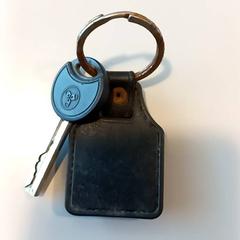 Sleutel، كما تم الإبلاغ عنه بواسطة Arriva Limburg Noord عبر iLost