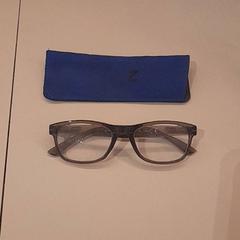 Ulleres Grijs, segons ha informat Van der Valk Hotel Schiphol mitjançant iLost