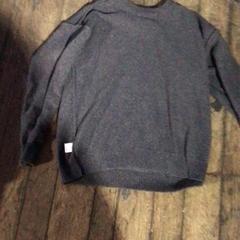 Svetr Grijs, jak nahlášeno De Heeren van Aemstel pomocí iLost