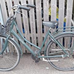 İLost kullanarak Fietsdepot Meierijstad tarafından bildirildiği gibi Bisiklet Altec Groen