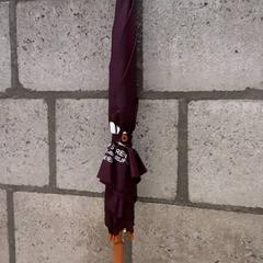 Paraugas, segundo informou Arriva Oost-Brabant usando iLost