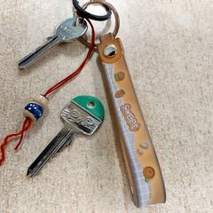 Sleutels, gemeldet von Regio Oost-Vlaanderen über iLost