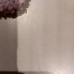 Plyšová facka, ako bolo nahlásené De Efteling pomocou iLost