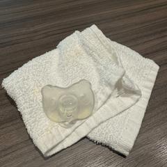 Wischen & Zitze, gemeldet von Van der Valk Hotel Zwolle über iLost