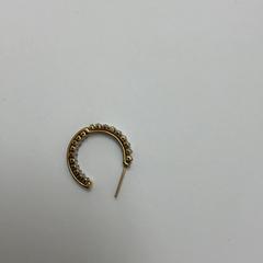 Boucle d'oreille, a été signalé par Schönbrunn "Group Center" utilisant iLost