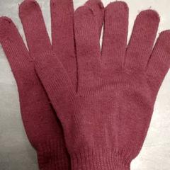 Handschoenen Bordeaux Rood, zoals gemeld door Arriva Friesland / Groningen met iLost