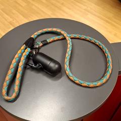 강아지 목줄, iLost를 사용하여 IKEA Nice Saint Isidore에 보고됨