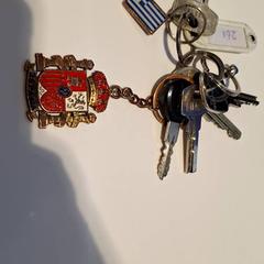 Giltza-giltza Hanger Spanje en Griekenland, gisa salatu by IJsselland Ziekenhuis iLost erabiliz