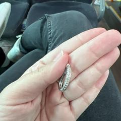 Earring, som rapporterats till iLost