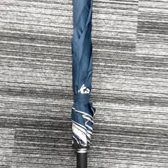 İLost kullanarak Arriva Vechtdallijnen tarafından bildirildiği gibi Şemsiye blauw