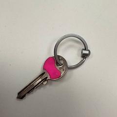 Schlüssel, gemeldet von ilévia über iLost