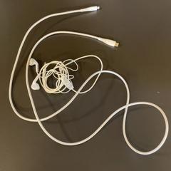 Chargeur & Ecouteur, a été signalé par MEININGER Hotel Dresden Zentrum utilisant iLost