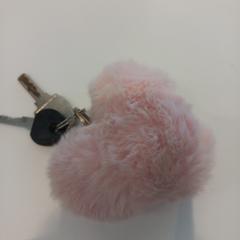 Sleutelhanger, como reportado por Arriva Limburg Zuid utilizando o iLost