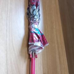 Umbrella, as reported by Arriva Limburg Zuid using iLost