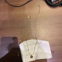 Colar goud, como reportado por Haven Hotel Rotterdam utilizando o iLost