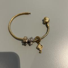 Armbandje, segundo informou a iLost