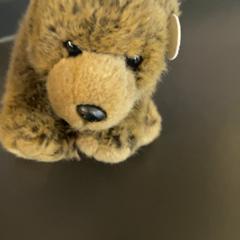Toy, as reported by MEININGER Hotel Dresden Zentrum using iLost