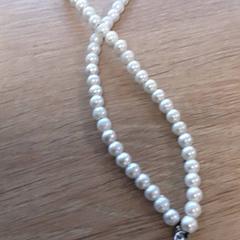 Ketting, zoals gemeld door LUMC met iLost