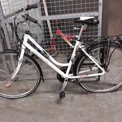 Rower minerva Wit, zgłoszono przez Fietsdepot Hasselt przy użyciu iLost
