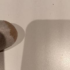 Knuffel, ha sido reportado por De Efteling con iLost