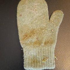 Guanti Legergroen, kinder handschoen., come riportato da DierenPark Amersfoort utilizzando iLost