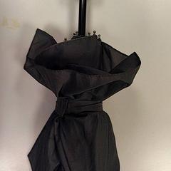 Paraply Asgroen, som rapportert av Vrije Universiteit Amsterdam ved bruk av iLost