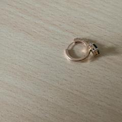 Fülbevaló, amint azt Schönbrunn "Group Center" az iLost segítségével jelentette.