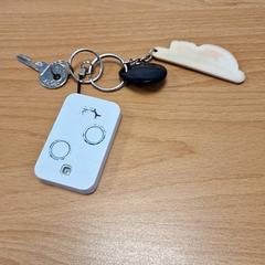 Brelok do kluczy, zgłoszono przez Gemeente Roermond przy użyciu iLost