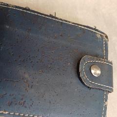 Wallet Hiemstra, as reported by Arriva Friesland / Groningen using iLost
