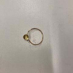Ring, as reported by IKEA神戸 using iLost