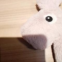 Knuffel Roze, zoals gemeld door Beekse Bergen Resorts en Hotel met iLost