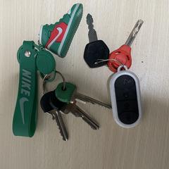 Sleutels a été signalé sur iLost