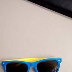 Sunglasses Geel blauw, as reported by Burgers' Zoo using iLost