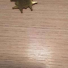 Medaille, zoals gemeld door Qbuzz Fryslân met iLost