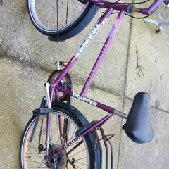 Bici da donna Batavus, come riportato da Stadswerk072 utilizzando iLost