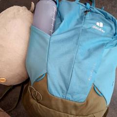 Backpack Lichtblauw met groen, as reported by Rotterdam The Hague Airport using iLost